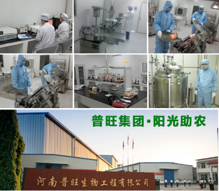 普旺獸藥廠家新鄉平原新區生產基地